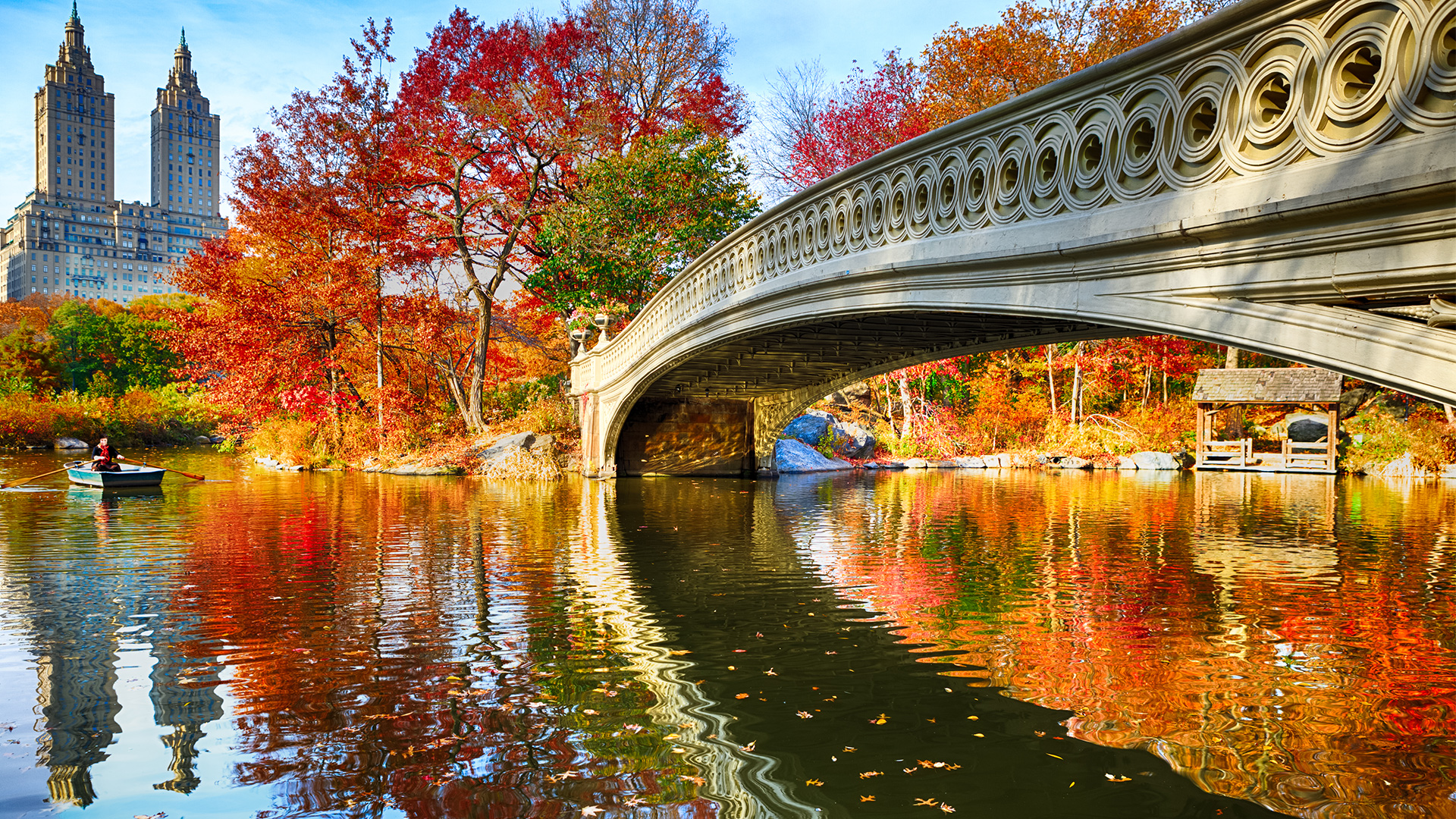 Gorgeous fall colors in Central Park