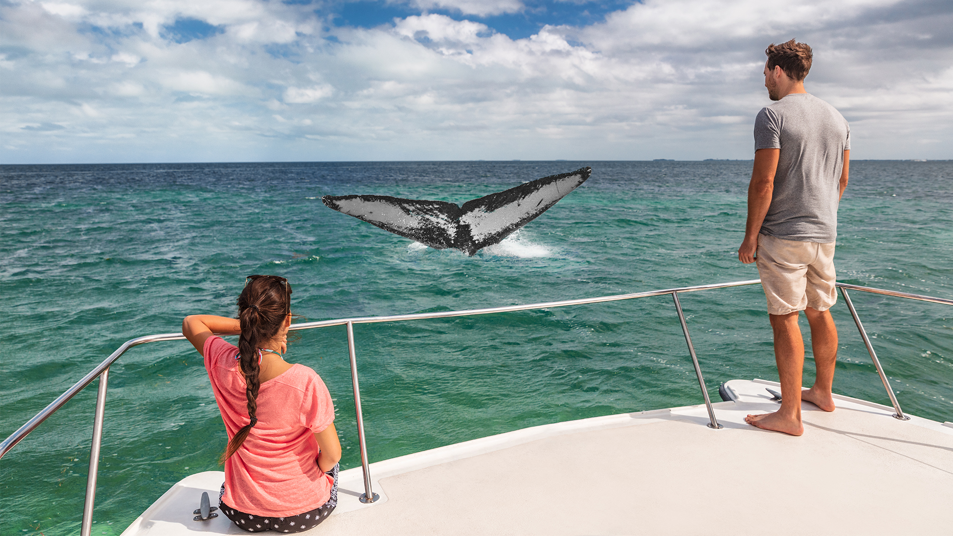 Up close encounters with whales