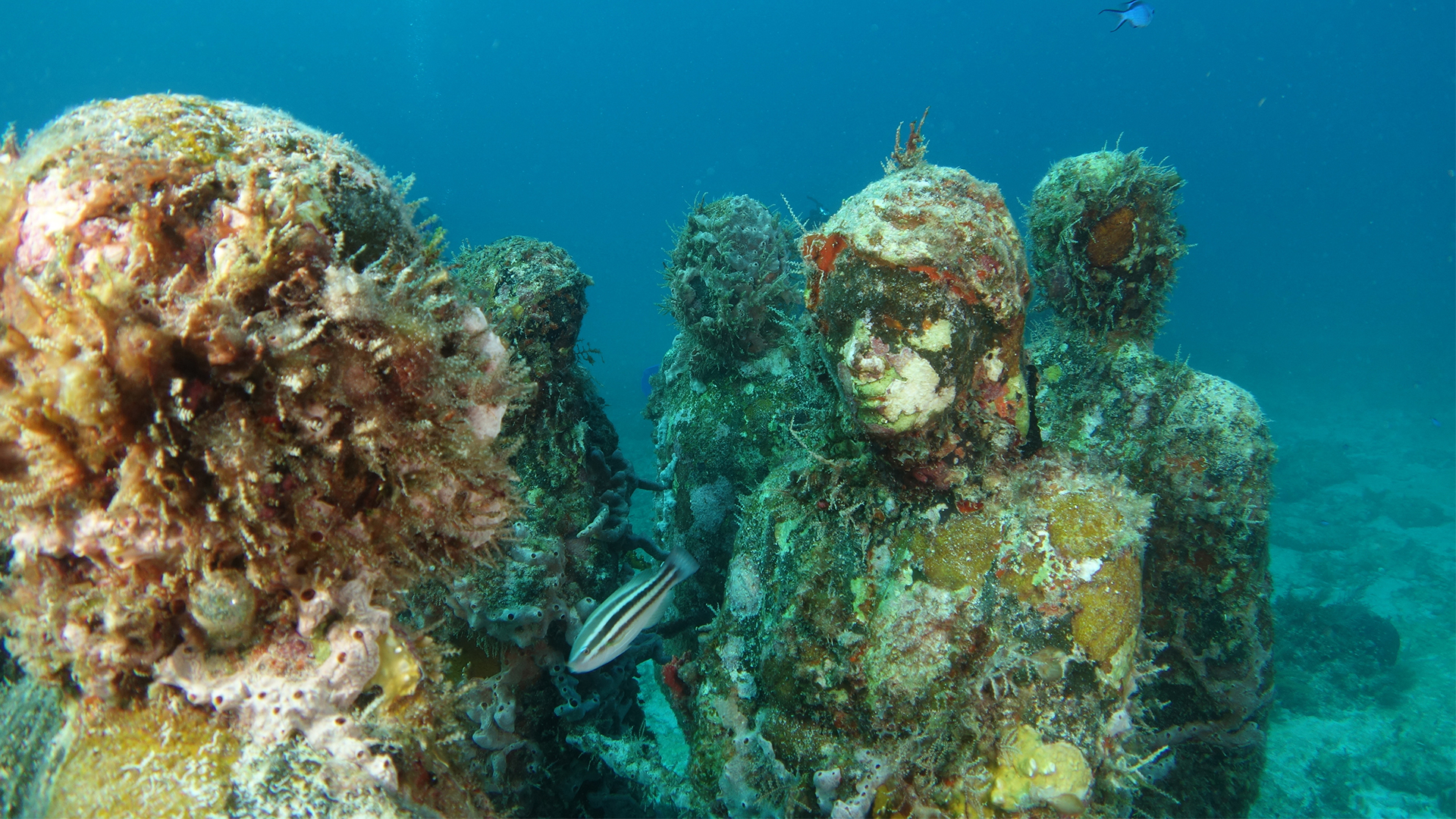 Mesmerizing statues at the Underwater Museum of Art