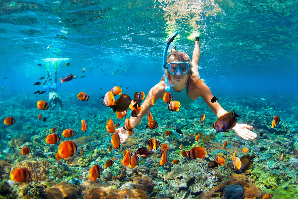 Bora Bora snorkeling
